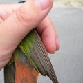 DSCN0615